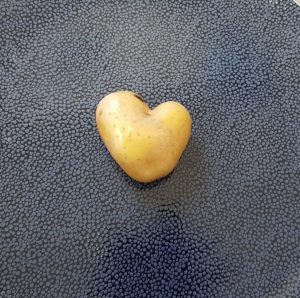Eine herzförmige Kartoffel als Sinnbild für das Kindermenü